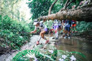 BIB: 
                            <button type="button" onclick="openModal(25465427)" class="btn btn-primary btn-sm float-right btn-popup" data-toggle="modal" data-target=".modal-high-quality">
                        <i class="fas fa-shopping-cart"></i> Add to Cart
                    </button>
                                            <button type="button" onclick="isThisMe(25465427, true)" class="btn btn-success btn-sm float-right btn-popup btn-isme hidden" data-toggle="tooltip" data-placement="bottom" title="นี่คือรูปของคุณใช่ไหม คลิกที่นี่เพื่อเอาเข้าอัลบั้ม">
                        <i class="fas fa-plus"></i> Add to album
                    </button>
                    <button type="button" onclick="isThisMe(25465427, false)" class="btn btn-warning btn-sm float-right btn-popup btn-isnotme hidden">
                        <i class="fas fa-ban"></i> Remove from album
                    </button>